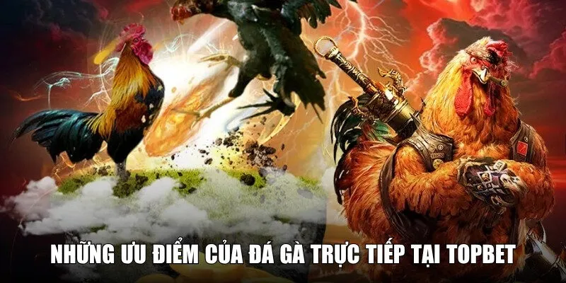Những ưu điểm hấp dẫn nhất tại nhà cái uy tín TOPBET
